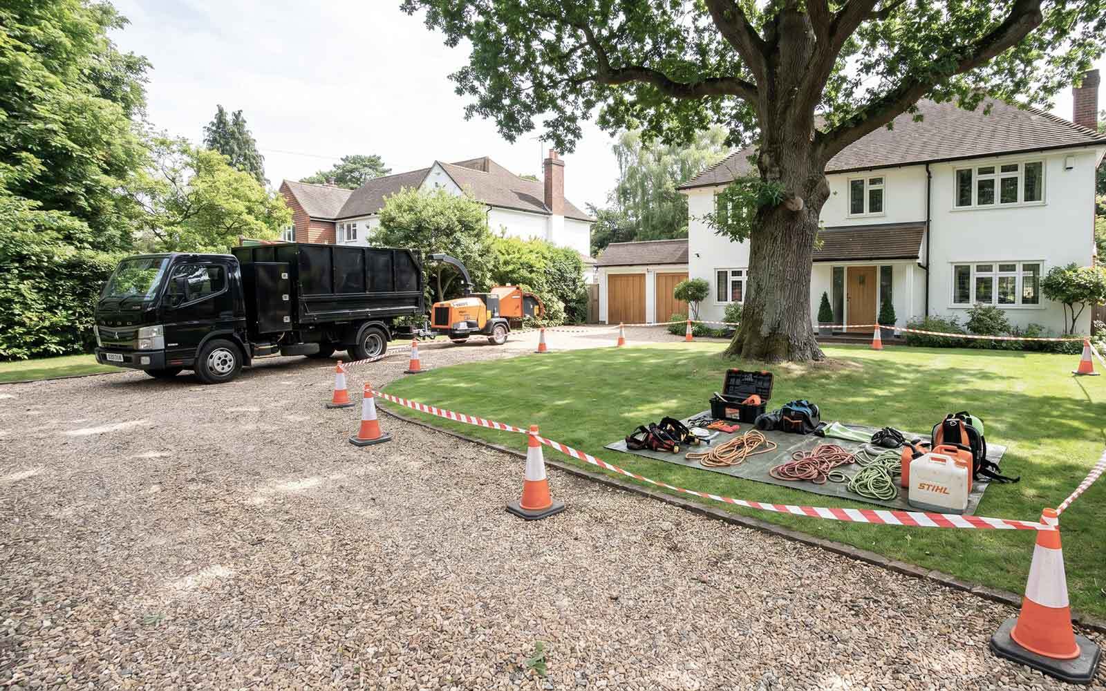 Jones Tree Surgery Work